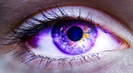 迷人的蓝色眼睛壁纸