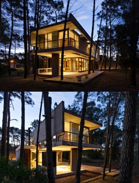 阿根廷森林混凝土和玻璃的房子-坐落在沿海度假胜地一个树木繁茂的区域，一个可伸缩的木板墙，可以直接伸到树林中欣赏风景。开放式的客厅，厨房和用餐区可以延伸出到一个大露台。