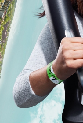 Liseberg-游乐场平面广告