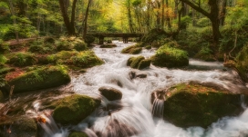 高清晰小溪瀑布壁纸