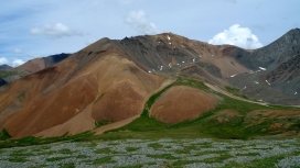 沙漠绿丘之地壁纸