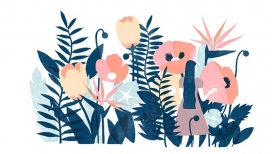 Oprah Winfrey Network-奥普拉・温弗瑞的一天生活