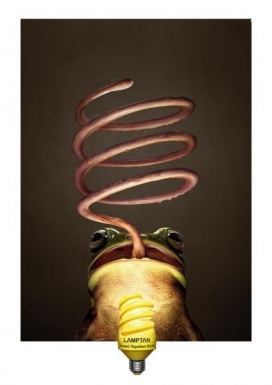 Lamptan节能灯平面广告