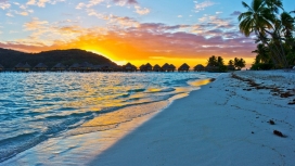 异国情调的海滩棕榈日落美景