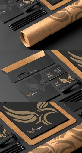 Terkaya财富管理品牌设计-专业的遗产规划和生命线财务规划