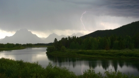平静河绿化树木
