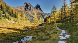 加拿大尼斯优鹤国家公园