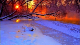 夕阳下的雪河树壁纸