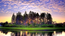 粉红色日落的江树草倒影美景
