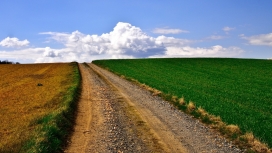 可爱的绿色乡村黄泥路