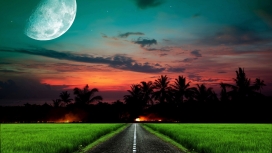 月亮日落下的道草棕榈路