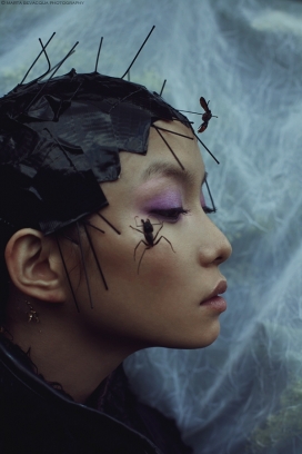 THE COLLECTION-“昆虫控”