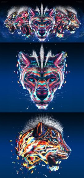 Genus Panthera猫科动物插画