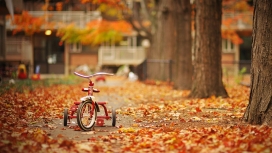 秋季路上的儿童三轮车