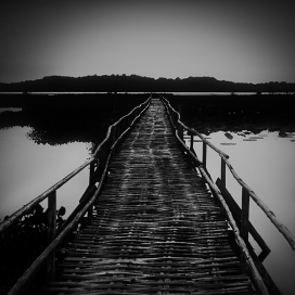 Secret Path-神秘路