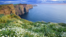 惊人的莫赫野花悬崖