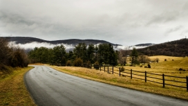 高清晰树木雾栅栏场道