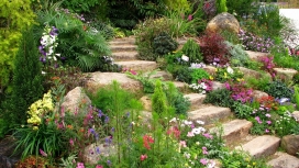 漂亮的花园台阶壁纸