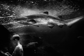 Aquarium-养鱼池黑白人像