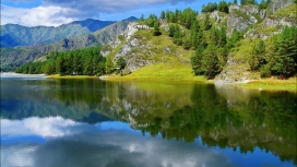 高清晰漂亮的树木镜湖壁纸