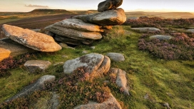 绿草上堆叠的鹅卵石