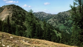 精彩的青嶂山之路