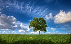 蓝色天空云下的绿草与树