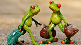 高清晰旅行的青蛙壁纸