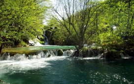 克罗地亚的阳光瀑布树