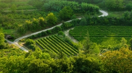 高清晰绿色田间小路壁纸