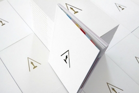 Annual Report-年报设计