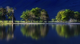 高清晰绿树夜景倒影壁纸