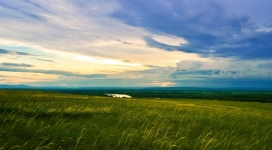 高清晰绿色草原壁纸