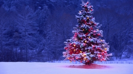 高清晰漂亮的圣诞树灯光壁纸