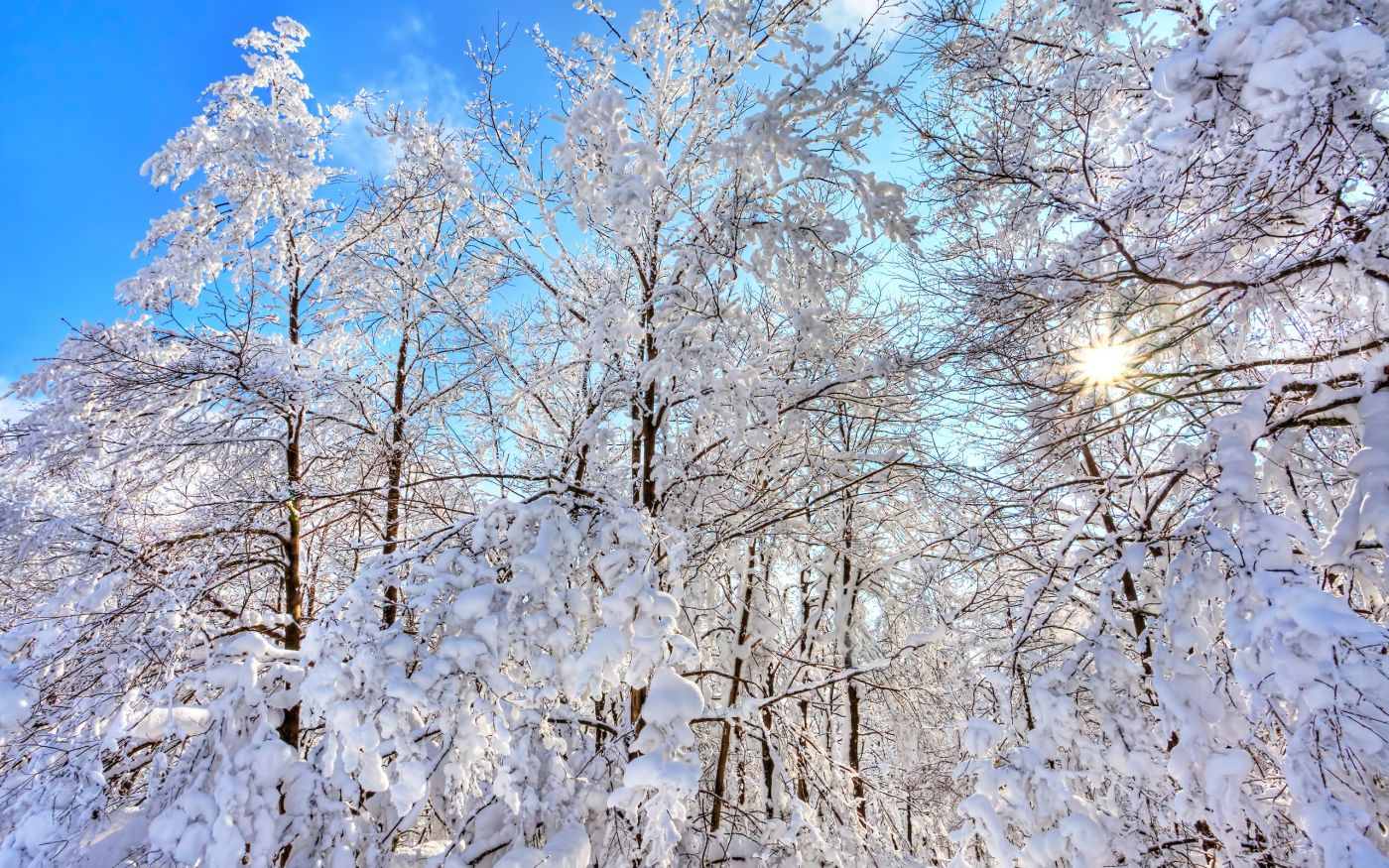 高清晰唯美冬季雪景自然景色壁纸下载 手机移动版