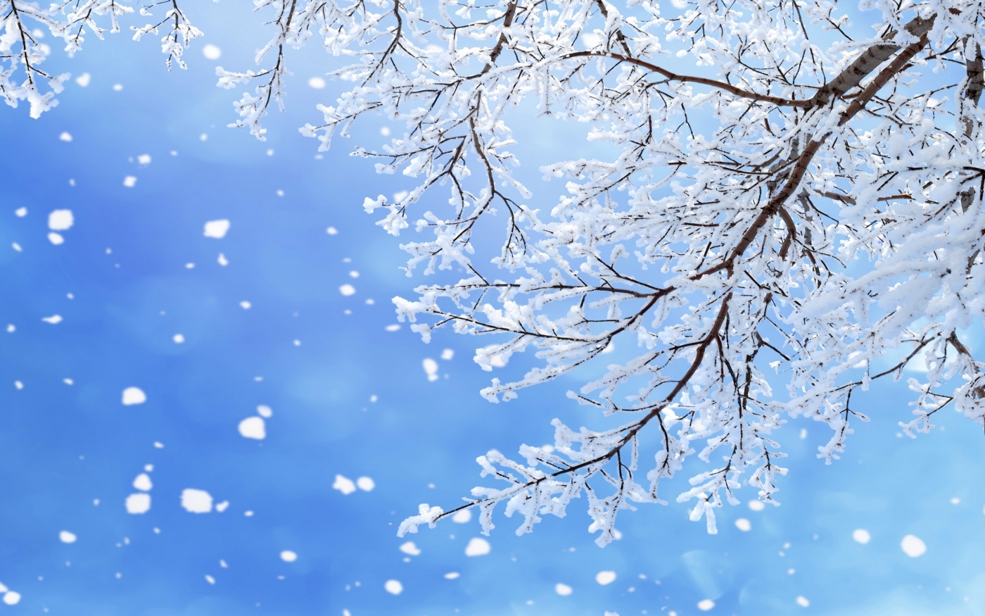 高清晰唯美冬季雪景自然景色壁纸下载 欧莱凯设计网 08php Com
