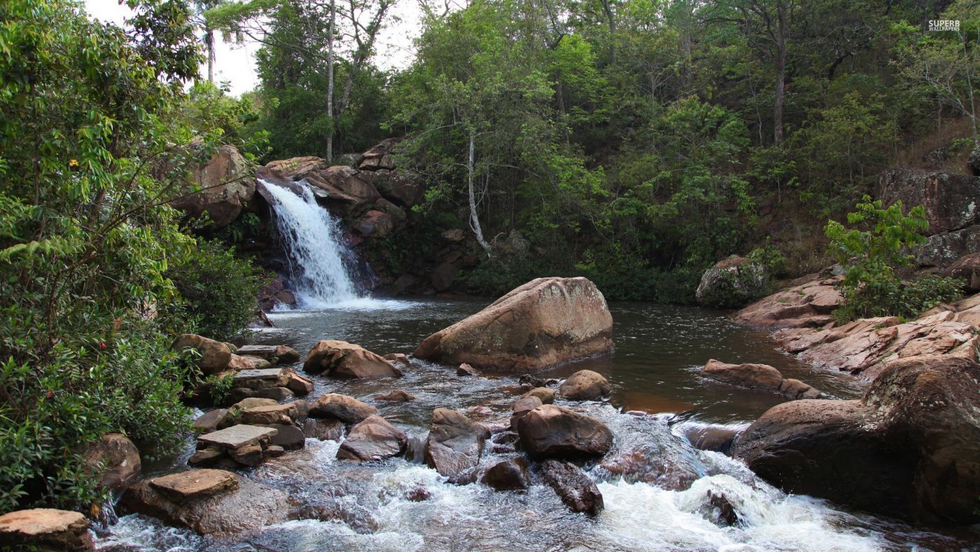 树木瀑布水图片