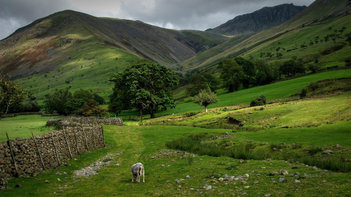 山峰树木围墙栅栏的小马图片