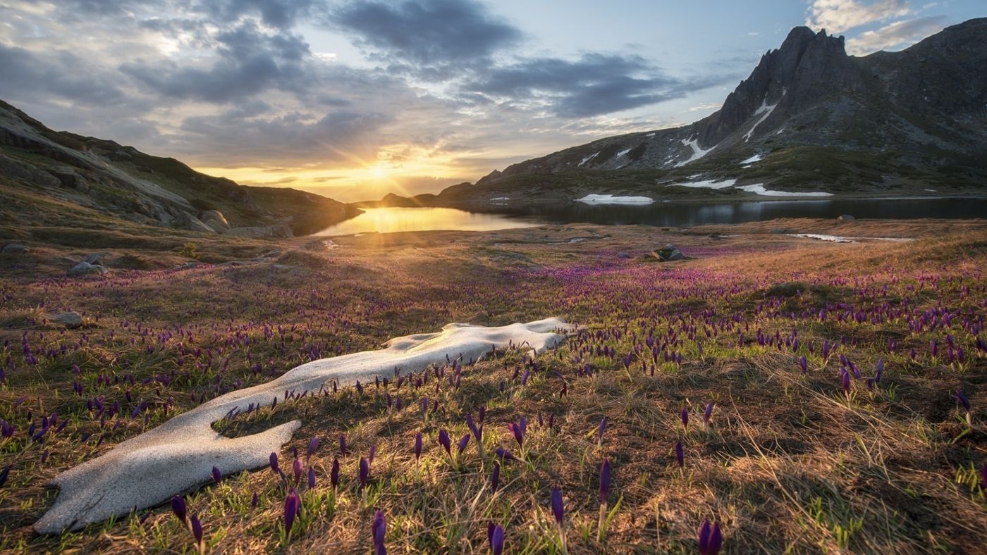 峰江花雪阳光图片