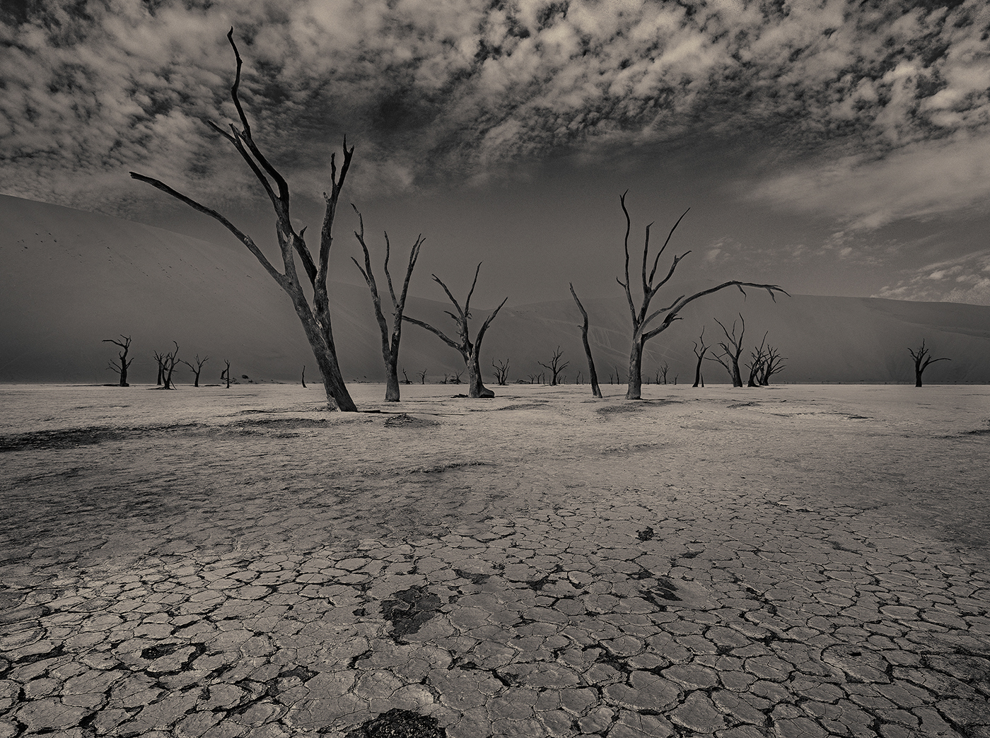 MONOCHROMATIC NAMIBIA-纳米比亚的“色彩”---酷图编号11