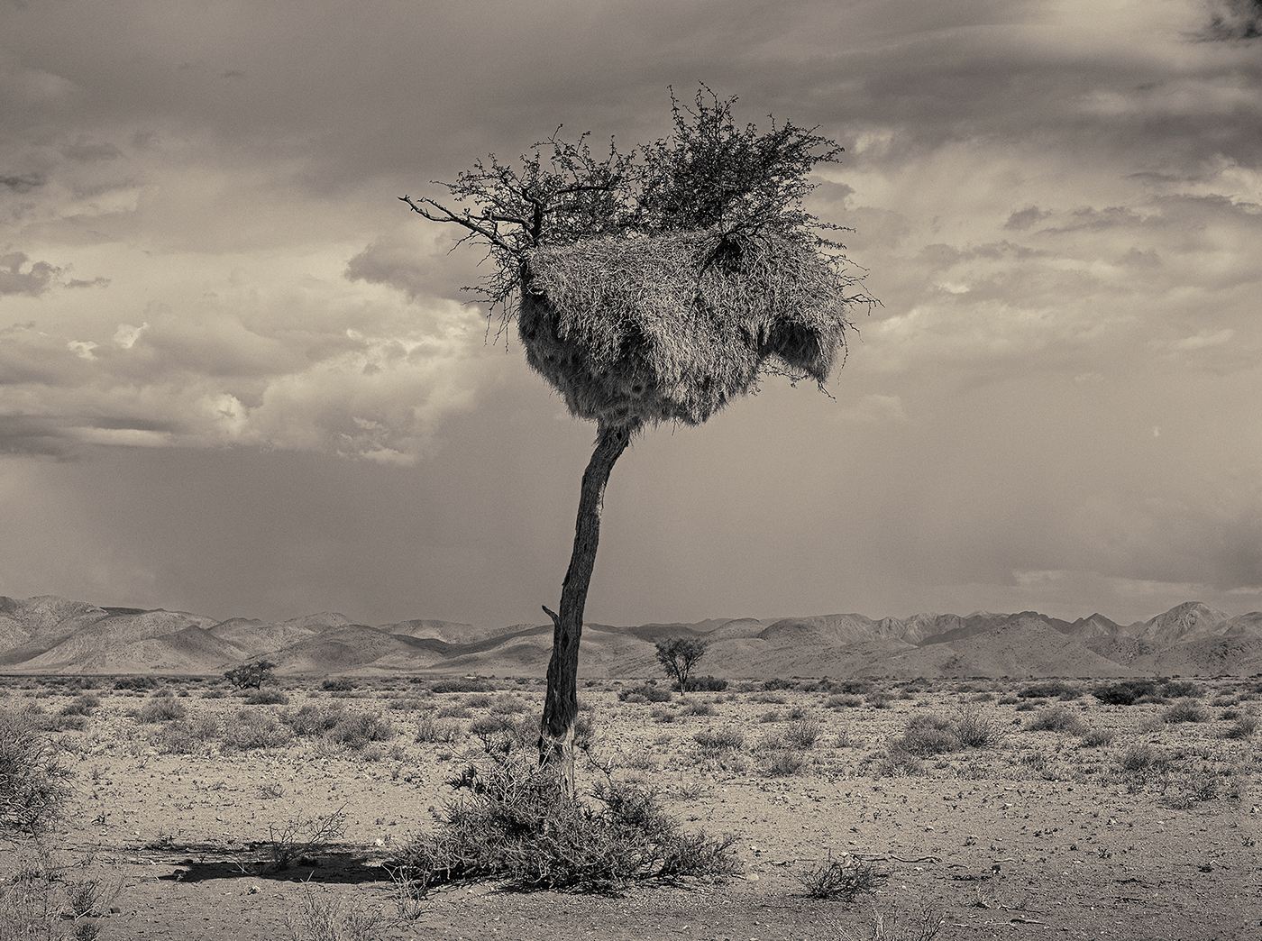 MONOCHROMATIC NAMIBIA-纳米比亚的“色彩”---酷图编号6