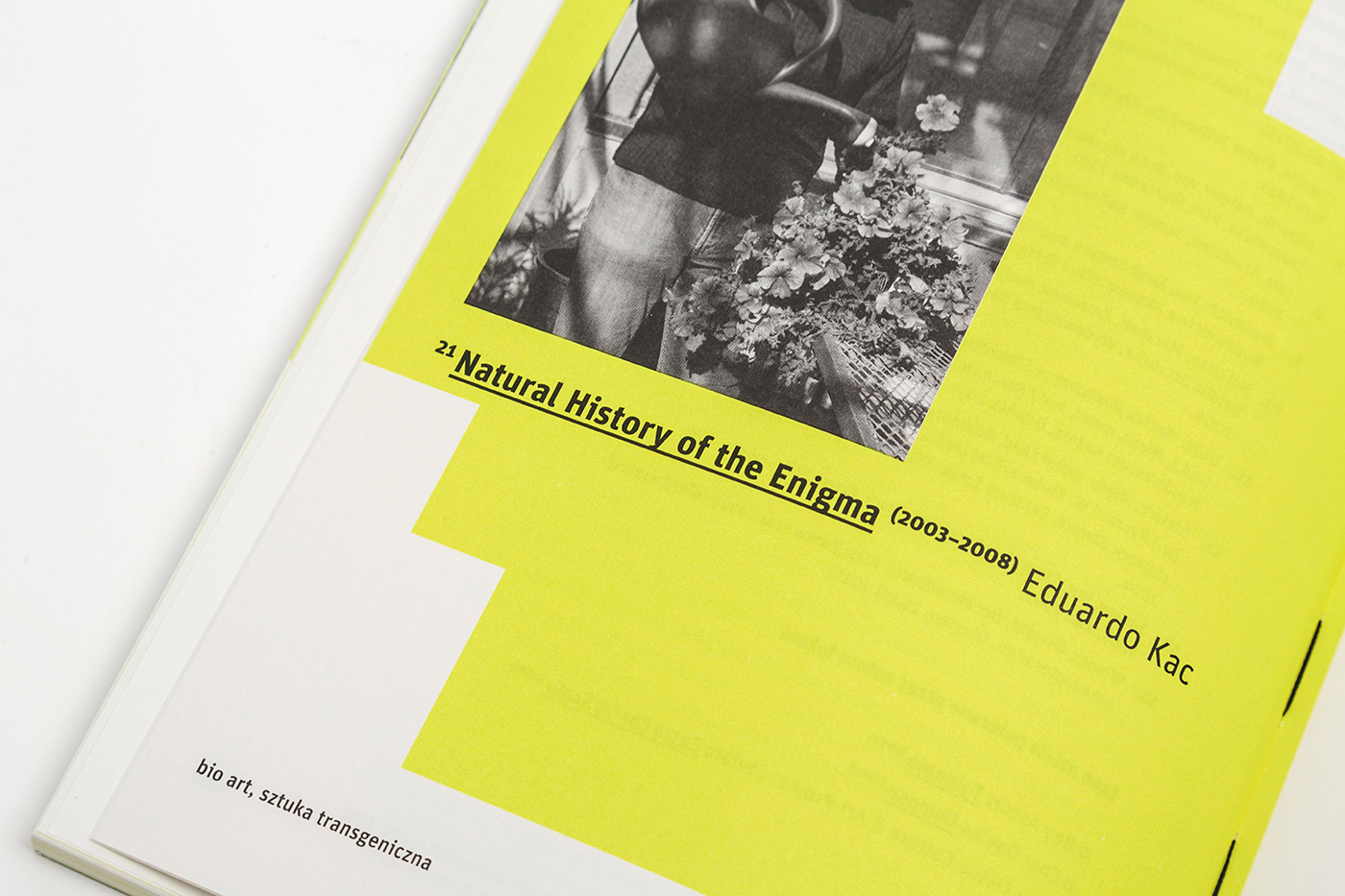 新媒体艺术经典作品---酷图编号13