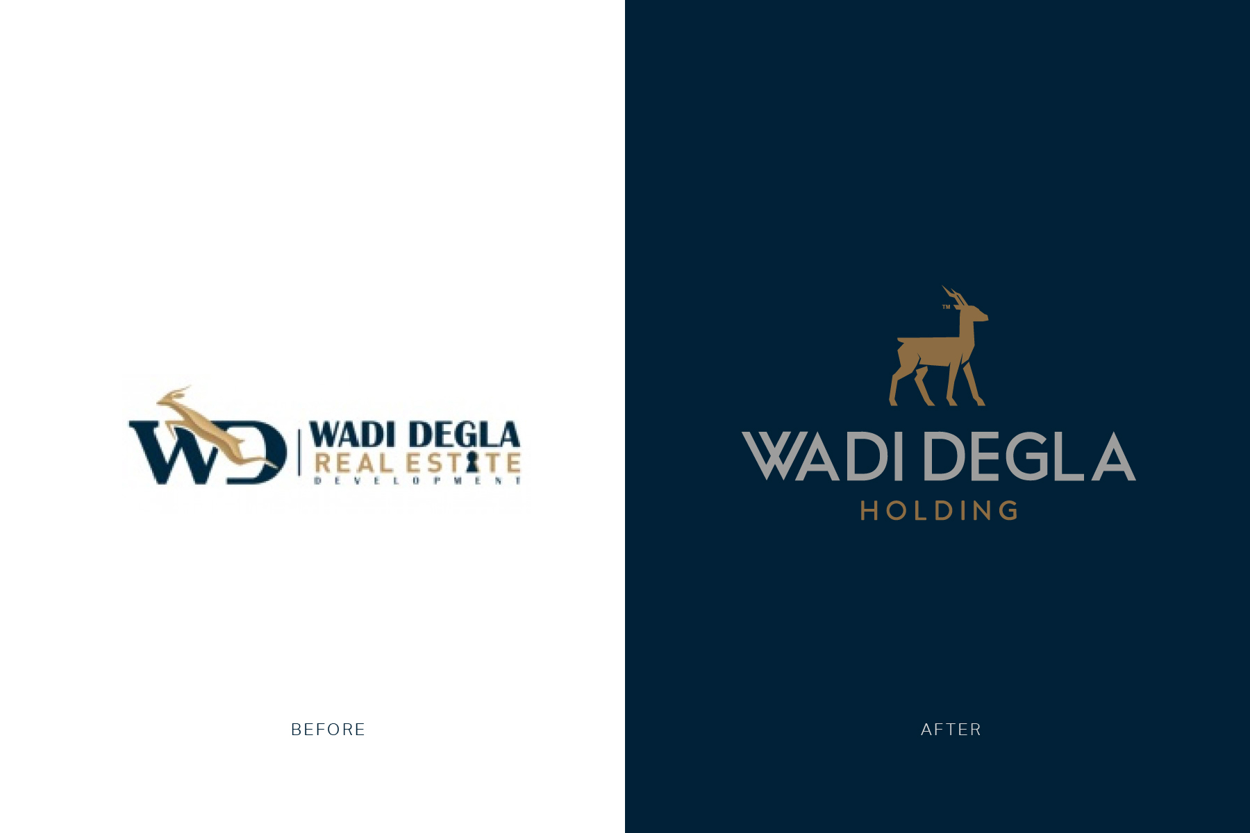 Wadi Degla Holding-海军蓝色调的品牌设计---酷图编号2