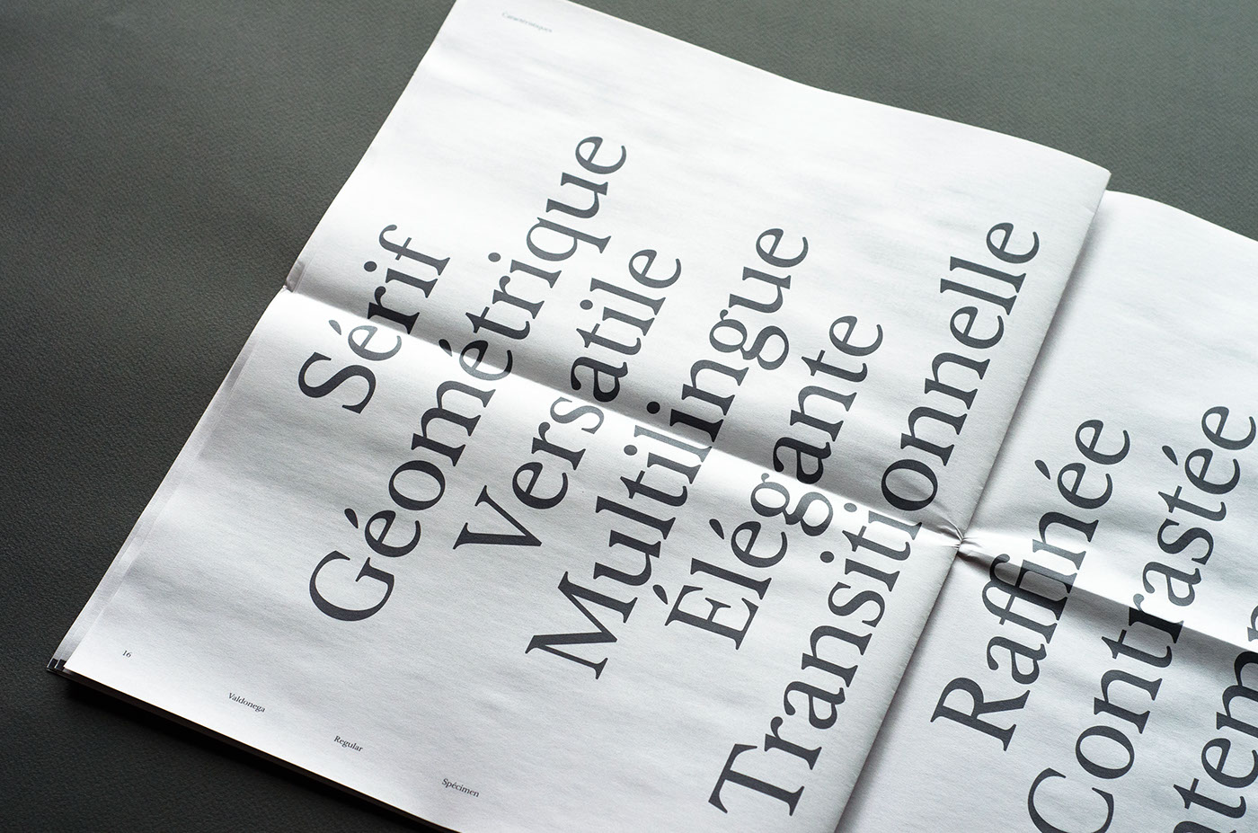 Valdonega / Spécimen-书法笔报刊字体排版设计欣赏-一个强烈的对比---酷图编号2