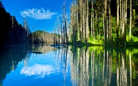 高清晰唯美森林湖美景桌面图集下载