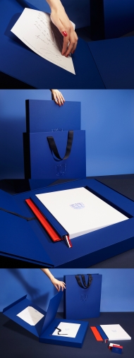 AMBASSADE DES ARTS-法国奢侈品品牌设计