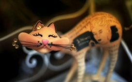 巴黎市场可爱的猫