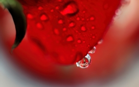 可口可乐在水滴