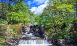 美丽的苏格兰春天岩石瀑布景观