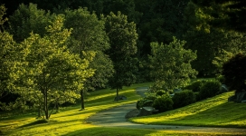 绿色公园的夏天